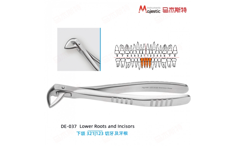 Adult Extracting Forceps English Pattern (DE-037)