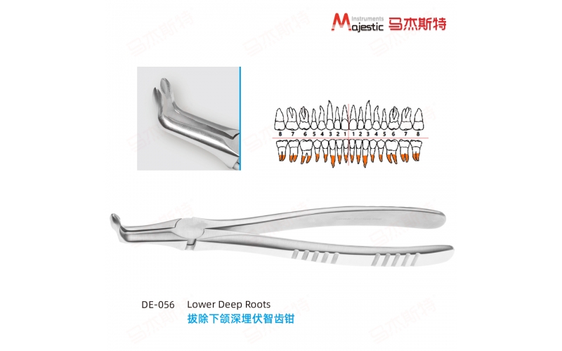 Adult Extracting Forceps English Pattern(DE-056)