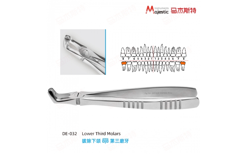 Adult Extracting Forceps English Pattern (DE-032)