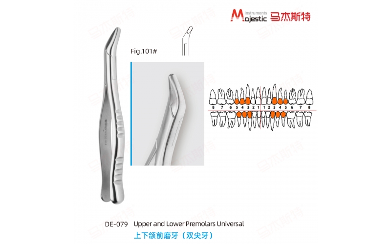 Adult Extracting Forceps American Pattern  (DE-079)