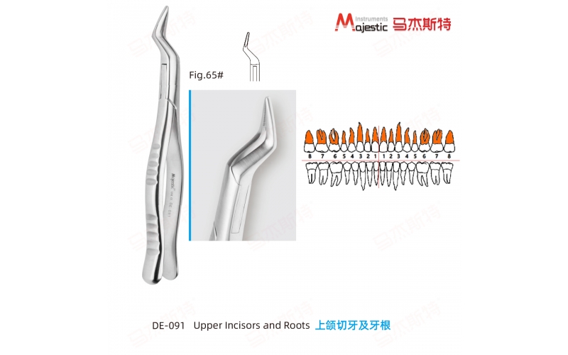 Adult Extracting Forceps American Pattern  (DE-091)